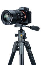 Rótula con cámara del trípode Vanguard Veo 2X 235ABP