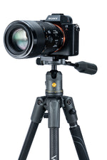 Cámara en rótula de trípode Vanguard Veo 2X 204CBP