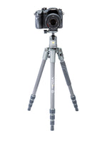 Veo 2S 204CB - Trípode de carbono + monopie, rótula de bola