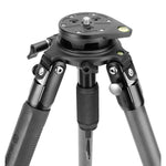 Dosel de Alta Pro 3VRL 303CT