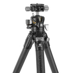 Alta Pro 3X 264CLBPS trípode con rótula de bola LBP-50S