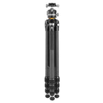 Veo 5 304CLBS - Trípode de carbono, rótula de bola de doble eje