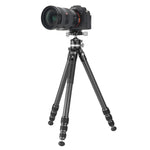 Veo 5XT 304CLBS - Trípode de viaje de carbono, rótula de bola de doble eje