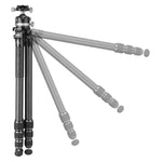 Veo 5XT 304CLBS - Trípode de viaje de carbono, rótula de bola de doble eje