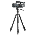 Vesta GO 264AV12 con videocámara