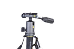Rótula de bola de monopie para foto y vídeo Vanguard Veo 2S CM-264TBP