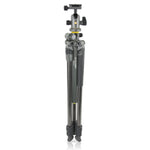 Alta Pro 2+ 263CB 100 - Trípode de carbono, rótula de bola, plegado