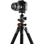 Cámara sobre el trípode Vanguard Alta Pro 264TBH