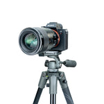 Rótula con cámara del trípode Vanguard Veo 2 Pro 203AO