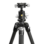 Veo 3 263CB trípode de carbono con rótula VEO BH-160S de doble eje