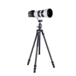 Veo 3 263CB trípode con rótula de bola de doble eje con telescopio