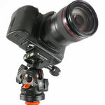 Rótula de bola con cámara Vanguard BBH-100